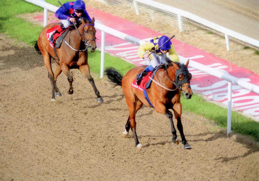 Relentless Pursuit Dundalk Fri 16th May 2014